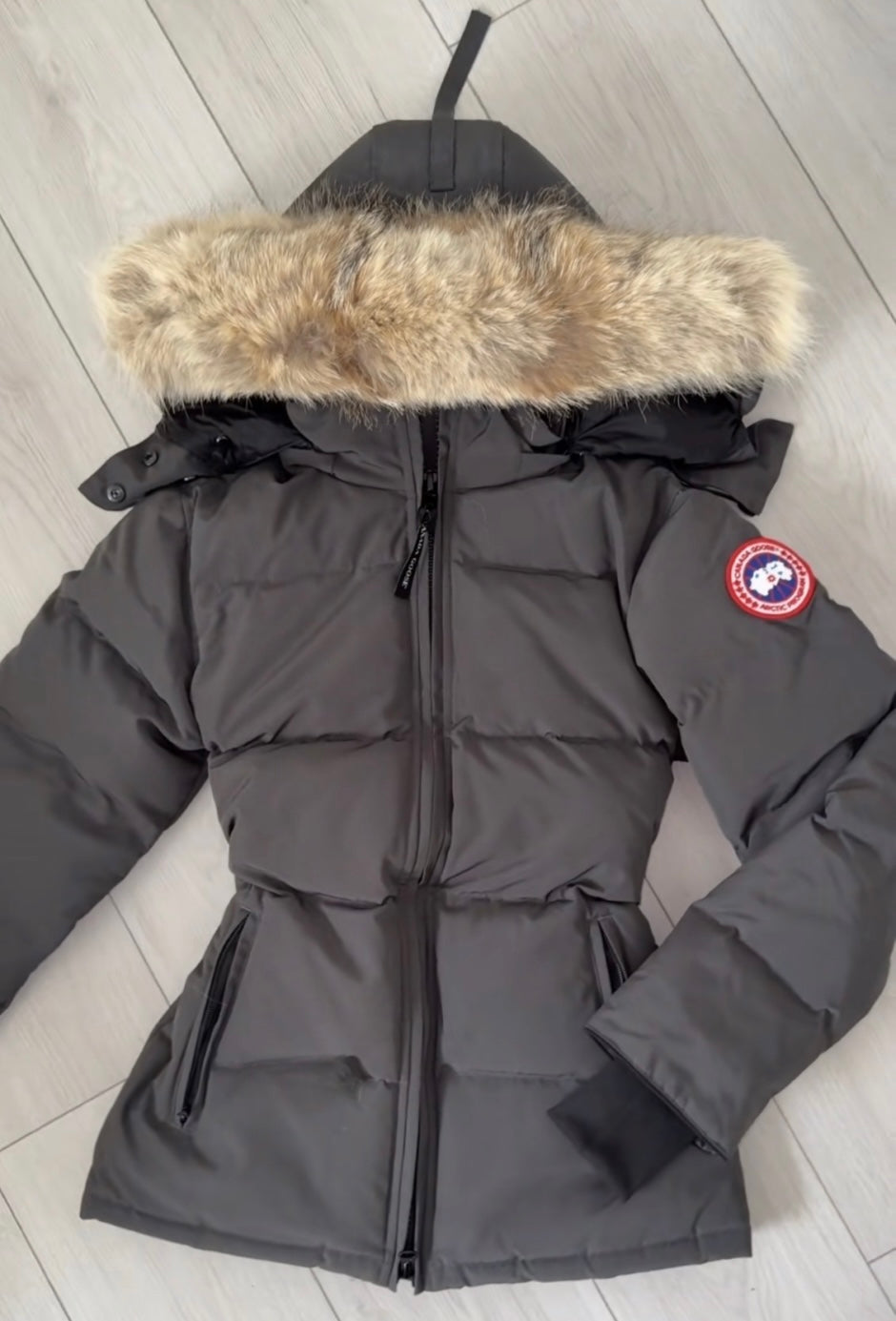 CG SNATCHABLE COAT GREY