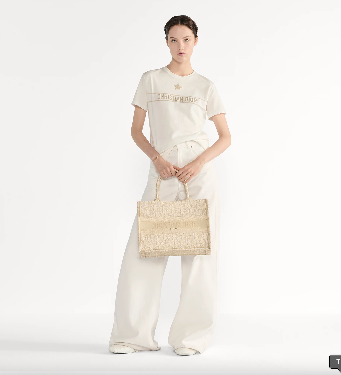 Sac Dior Book Tote Medium