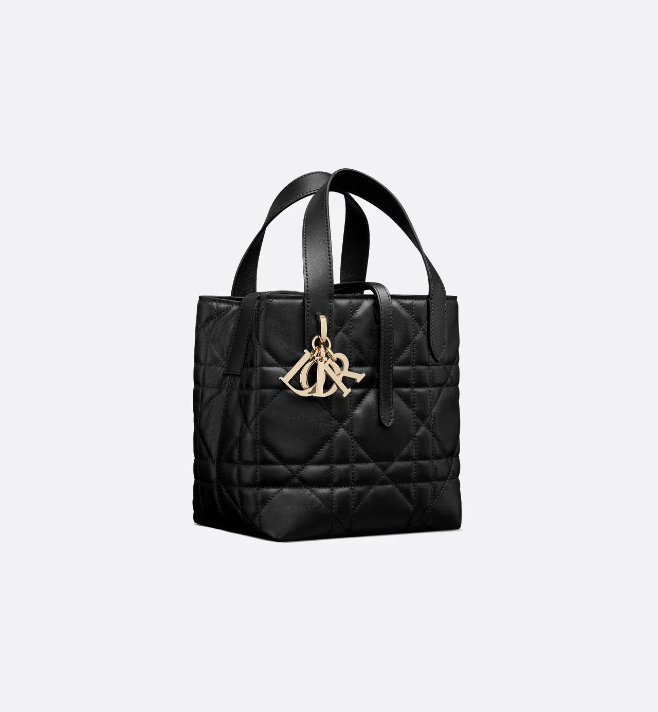 Sac cabas vertical Dior Toujours Small