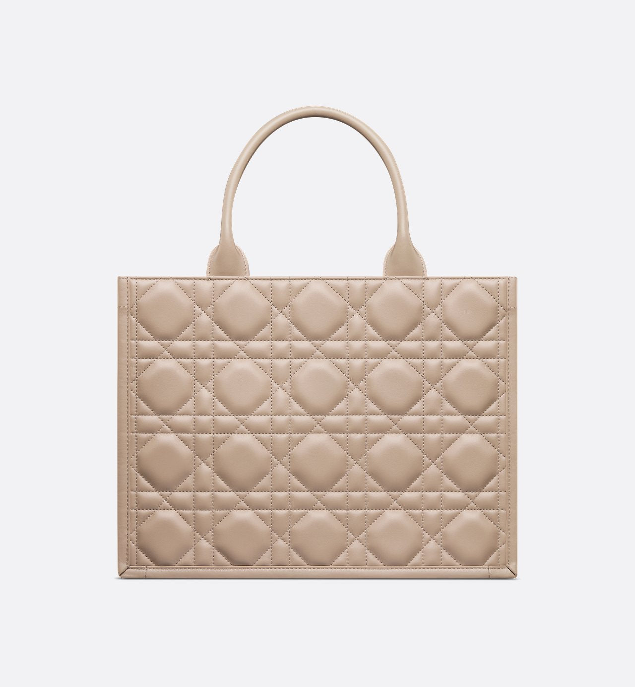 Sac Dior Book Tote Medium