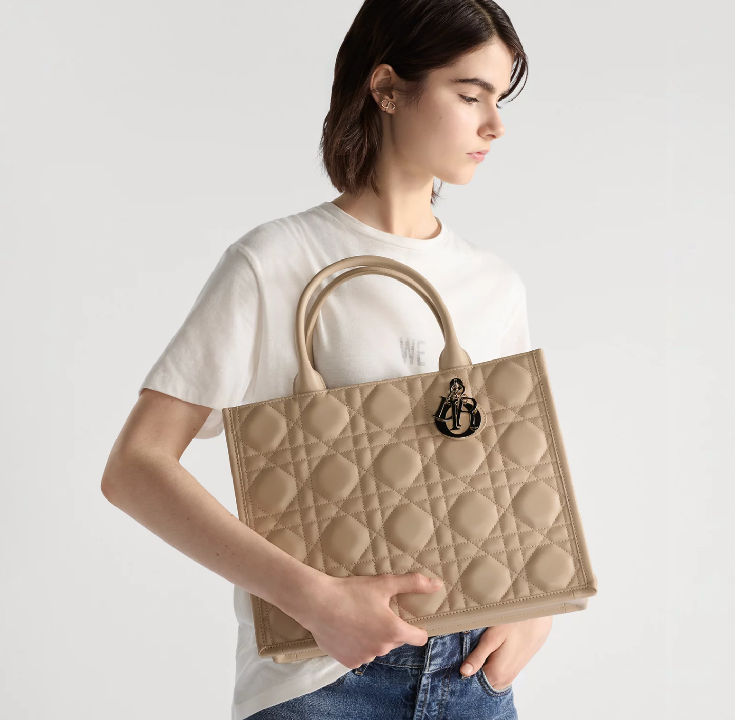 Sac Dior Book Tote Medium