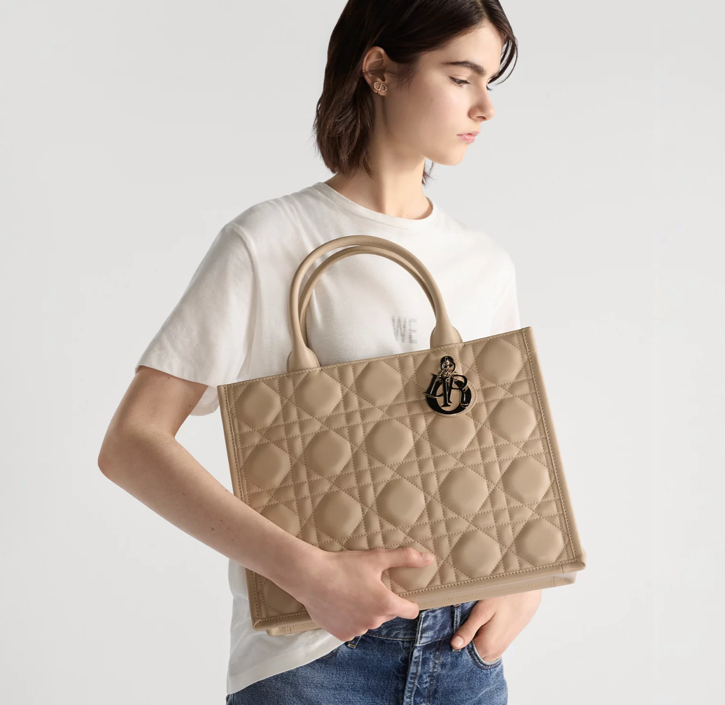 Sac Dior Book Tote Medium