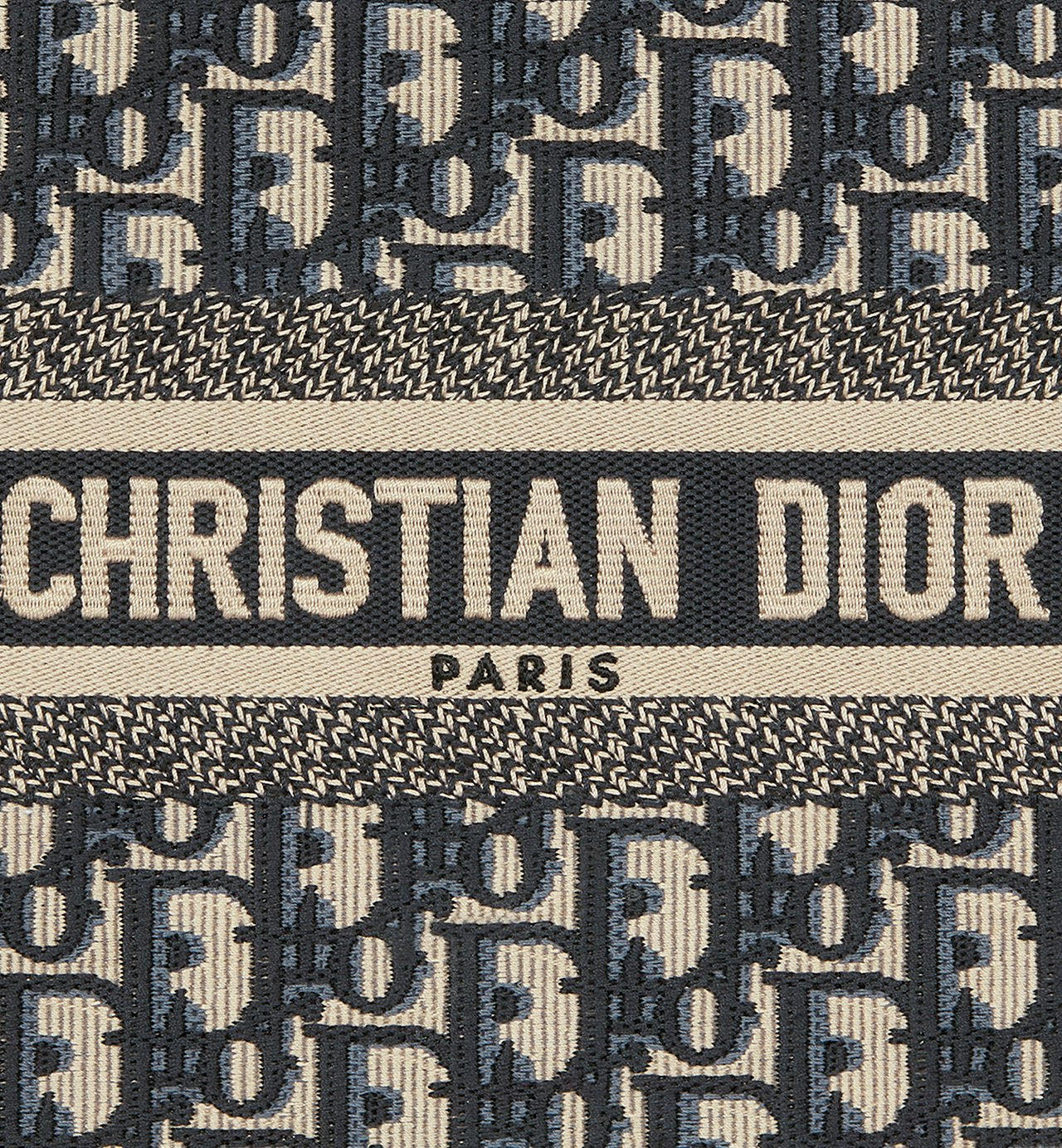 Sac Dior Book Tote Small
