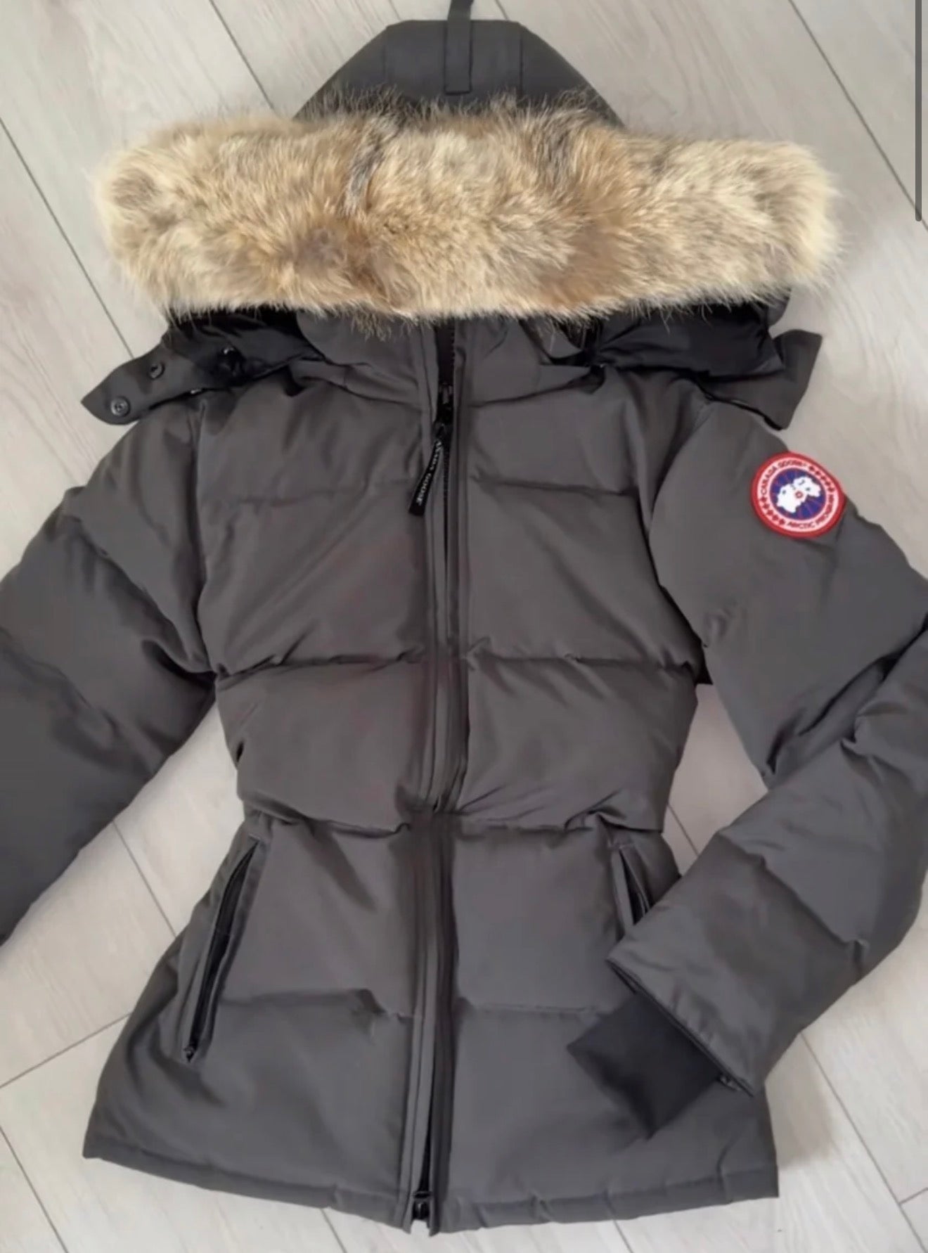 CG SNATCHABLE GREY - PREMIUM QUALITY