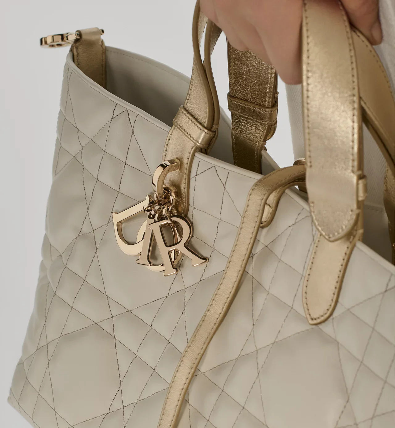 Sac Dior Toujours Medium
